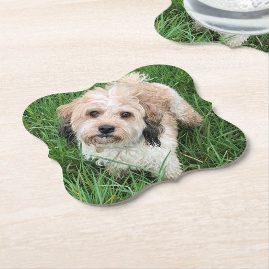 Cavapoo-Untersetzer Untersetzer (angewinkelt)