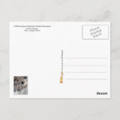 Cavates at Bandelier National Monument, NM Postkarte (Rückseite)