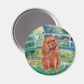 Cavavlier (Ruby7) - Brücke Magnet (Vorderseite/Rückseite)