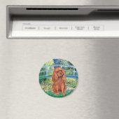 Cavavlier (Ruby7) - Brücke Magnet (In Situ (Geschirrspüler))