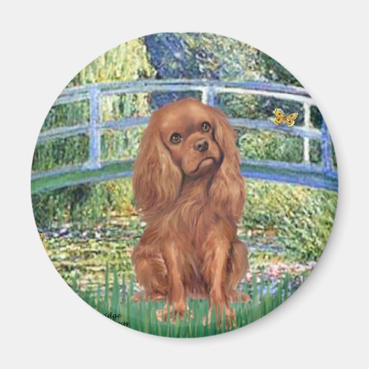 Cavavlier (Ruby7) - Brücke Magnet (Vorne)