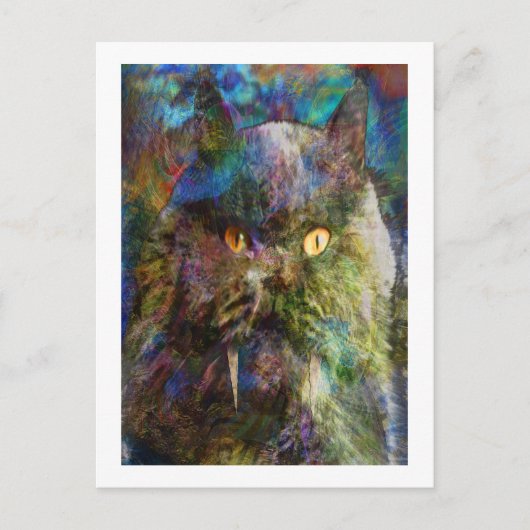Cave Cat Postkarte (Vorderseite)
