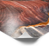 Cave in Petra Fotodruck (Ecke)