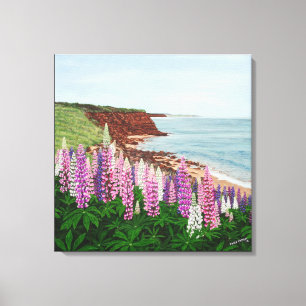 Cavendish Cliffs und Spring Lupins Canvas Print Leinwanddruck