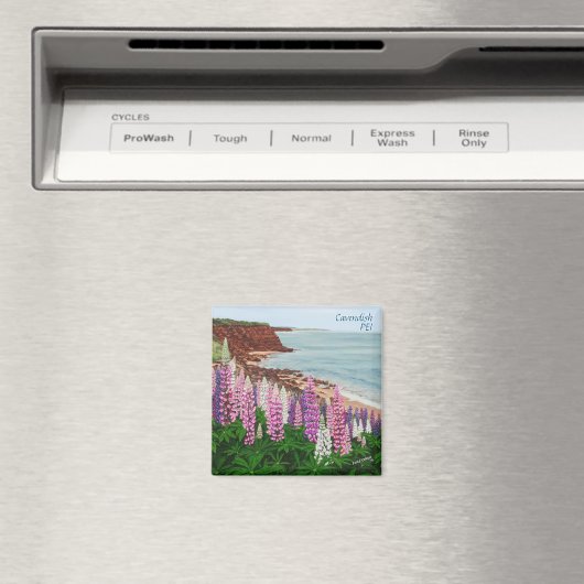 Cavendish Klippen-und Magnet (In Situ (Geschirrspüler))