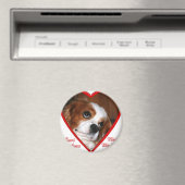 Cavi Liebe Magnet (In Situ (Geschirrspüler))