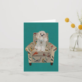 CAVIPOODLE Notecard