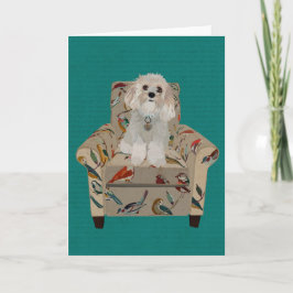 CAVIPOODLE Notecard