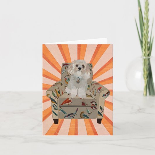 CAVIPOODLE STRIPES Notecard (Vorderseite)