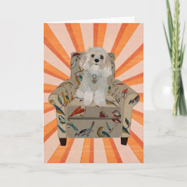 CAVIPOODLE STRIPES Notecard