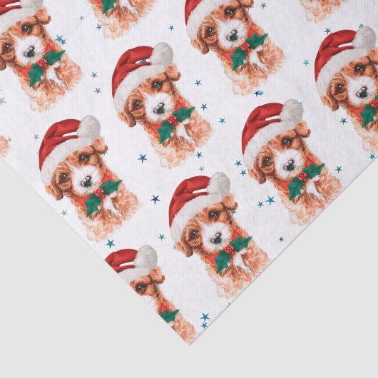 Cavoodle Dog Breed Christmas Stars Seidenpapier (Ausschnitt)
