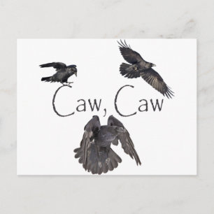 Caw Caw Postkarte