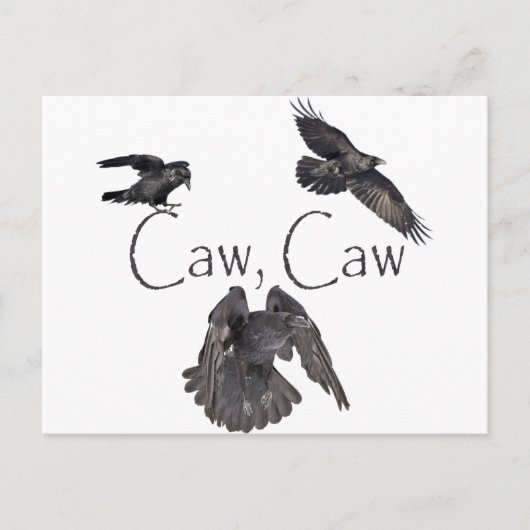 Caw Caw Postkarte (Vorderseite)