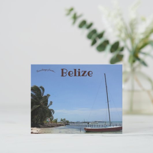 Caye Caulker Belize Postkarte (Stehend Vorderseite)