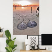 Caye Caulker Stingray Sunset Poster (Heimbüro)