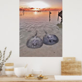 Caye Caulker Stingray Sunset Poster (Küche)