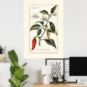 CAYENNE - BOTANISCHE VINTAGE-ILLUSTRATION POSTER (Heimbüro)