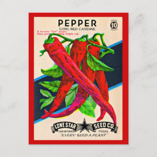 Cayenne-Paprika-Packung aus den 50er Jahren Postkarte