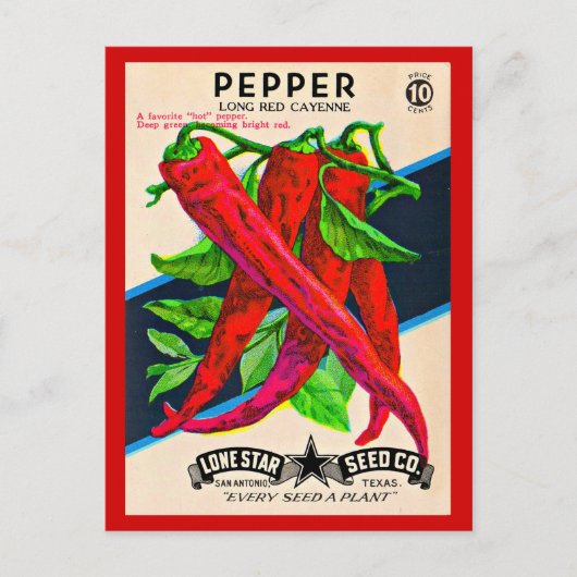 Cayenne-Paprika-Packung aus den 50er Jahren Postkarte (Vorderseite)