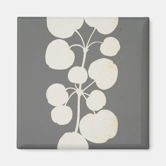 Cayenne Pepper Magnet (Vorne)