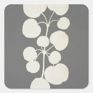 Cayenne Pepper Quadratischer Aufkleber