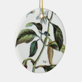 Cayenne-Pfeffer-Blume Keramikornament (Rechts)