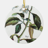 Cayenne-Pfeffer-Blume Keramikornament (Vorne)