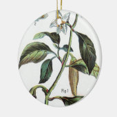 Cayenne-Pfeffer-Blume Keramikornament (Links)