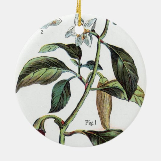 Cayenne-Pfeffer-Blume Keramikornament (Hinten)