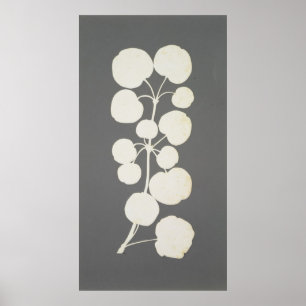 Cayenne-Pfeffer Poster