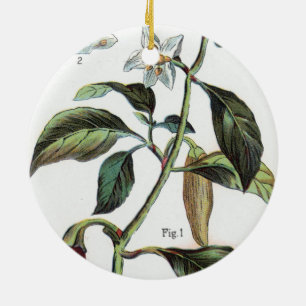 Cayennepfeffer-Blüte Keramikornament