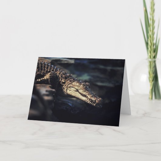 Cayman crocodile notecard karte (Vorderseite)