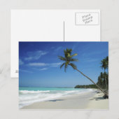 Cayman Island Beach Postkarte (Vorne/Hinten)