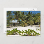 Cayman Islands Beach House Postkarte (Vorne/Hinten)