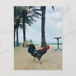 "Cayman Rooster" Postkarte von Willowcatdesigns