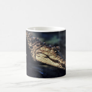 Caymankrokodil-Tasse Kaffeetasse