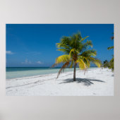 Cayo Blanco Beack in Cuba Poster (Vorne)
