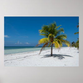 Cayo Blanco Strand in Kuba Poster