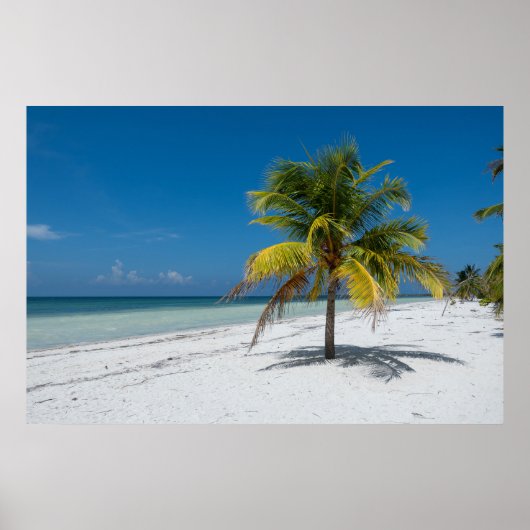 Cayo Blanco Strand in Kuba Poster (Vorne)