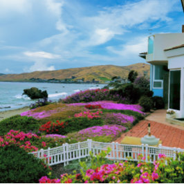 Cayucos California Puzzle