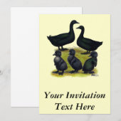 Cayuga Duck Einladung (Vorne/Hinten)