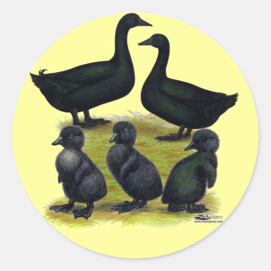 Cayuga Duck Family Runder Aufkleber (Vorderseite)