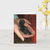 Cayuga Hatchling Karte (Gelbe Blume)