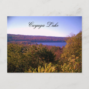 CAYUGA LAKE IN AUTUMMER Postkarte