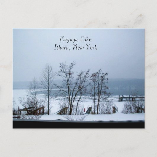 CAYUGA LAKE IN WINTER Postkarte (Vorderseite)