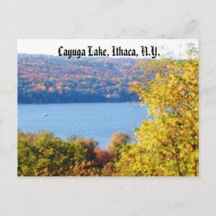 CAYUGA LAKE, ITHACA, Postkarte NEW YORK