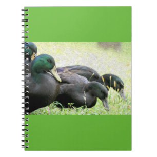 Cayuga-schwarze Enten-Kunst-Notizbuch Notizblock