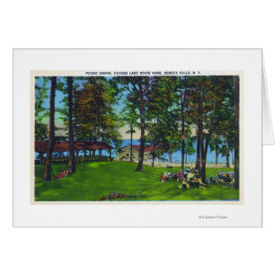 Cayuga See-Staats-Park-Szene