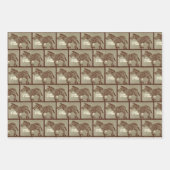 CBC 1966 - The Nature of Things Promo Geschenkpapier Set (Vorderseite 2)