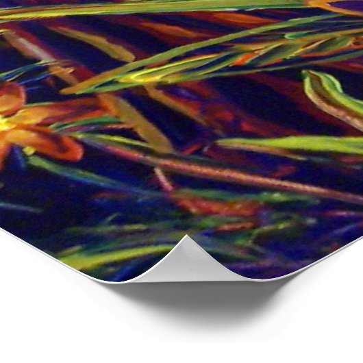 CBjork, BDazzled River Poster (Ecke)